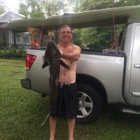 Caught Cobia at  33 1/2 "