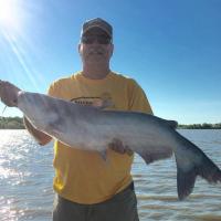 Missouri Blue Cat