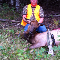 Ontario Elk