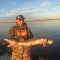 2019 sturgeon