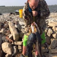 Good fishin' for Cats