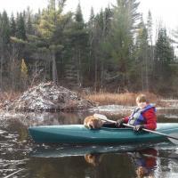 10 Year old Caden-Trapping by Kayak