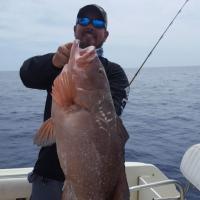 Grouper Fishing