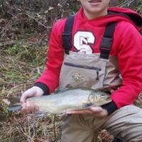 Logan's Roaring Fork Brookie