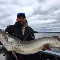 AML Fall Musky