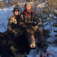 Moose
