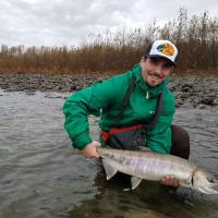 Salmon Fishing