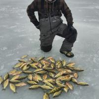 Fishing Yellow Bass