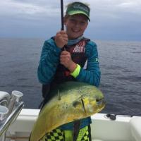 Saltwater #3 Dolphinfish