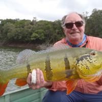 Harry Robertson & Peacock Bass