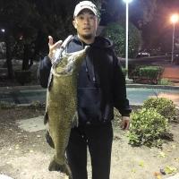 27 lb Salmon