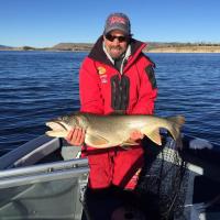 Big Lake Trout