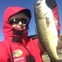 BRRR Cold Bass