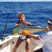 Key west nice Dolphinfish