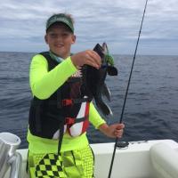 Black Sea Bass