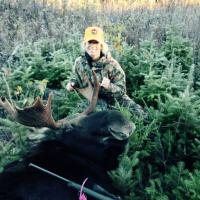 Maine Moose Hunt