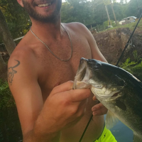 Spring Bass Fishing