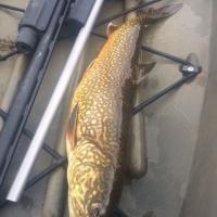Pike Heaven