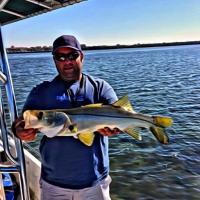 Snook