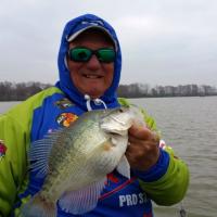 Greenville Crappie Dan