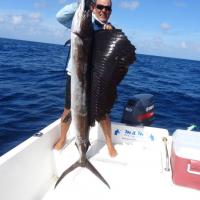 Sailfish