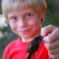 big or small he catches them all