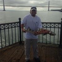 Tyler Malone's Leopard Shark