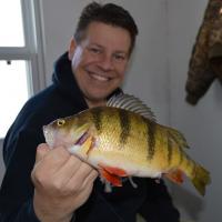 Lake Of The Woods Perch