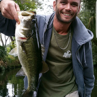 Bass