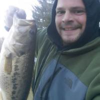 Large Mouth Bass