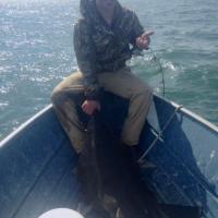 Fishing for Flounder
