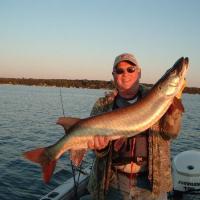 On Chip 029 Muskie