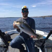 Nice Stripe Bass