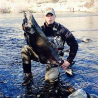 45 lb Salmon