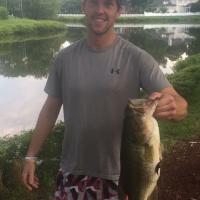 Nice Bass