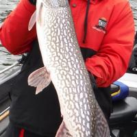 Big Pike on The Revo Toro Beast