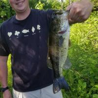 Largemouth