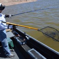 Robo Handle Helps Put One in The Net