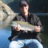 Steelhead