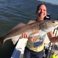 Red Drum