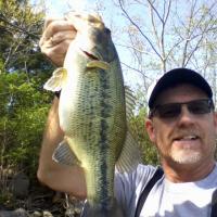 birthday bass
