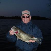 Bass by clayton 117