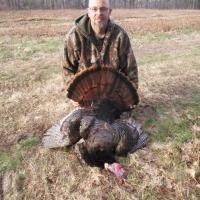 23 1/2 lb Tom