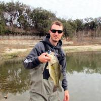 bass 8