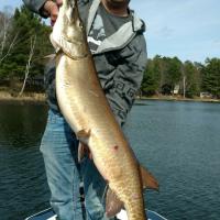 Nice Surprise While Bass Fishing