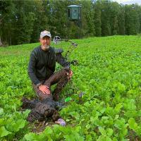 Bow season Turkey in Missouri