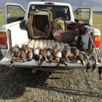 My son Scott's first Ducks