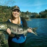 Chum in the Fraser River
