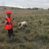 Young Pheasant Hunter