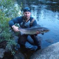 Beautiful Salmon